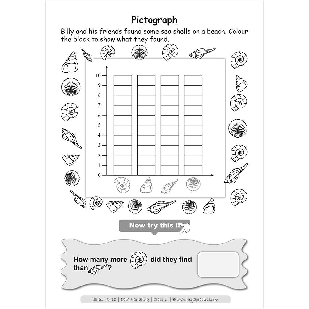 Pictograph maths practice workbooks