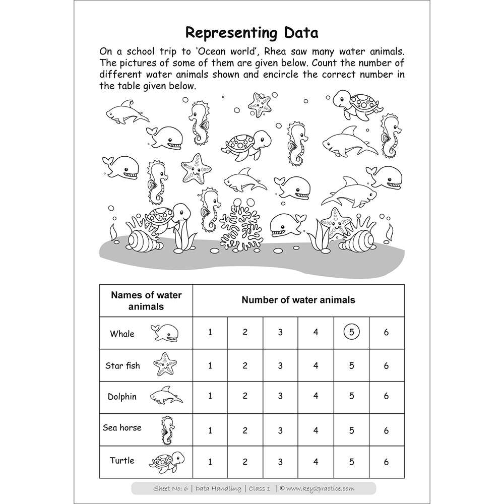 Data Handling (representing data) maths practice workbooks