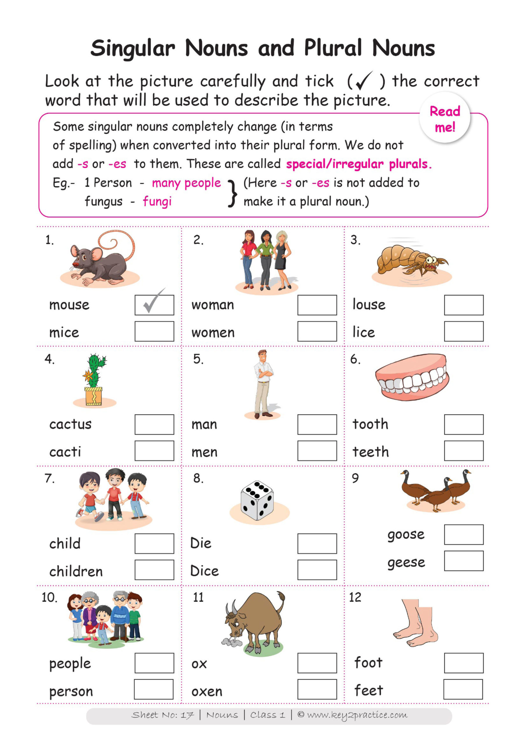 English Worksheets Grade 1 Chapter Nouns - key2practice ...