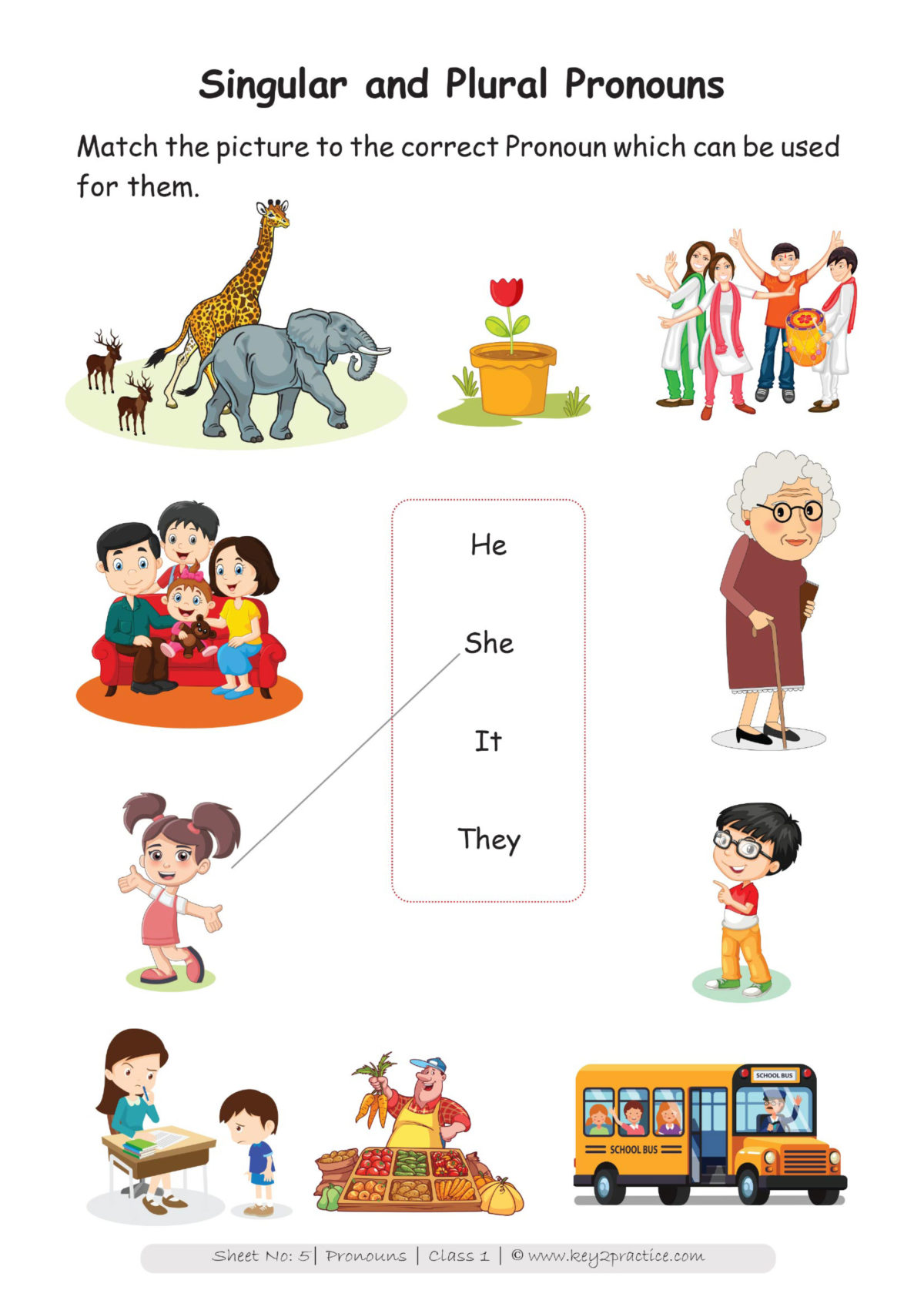 Types Of Pronoun Worksheet For Class 6