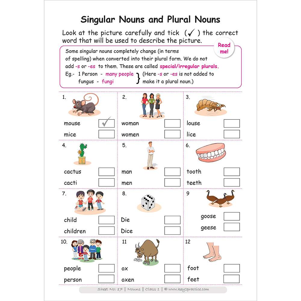 Singular and Plural nouns worksheets for grade 1